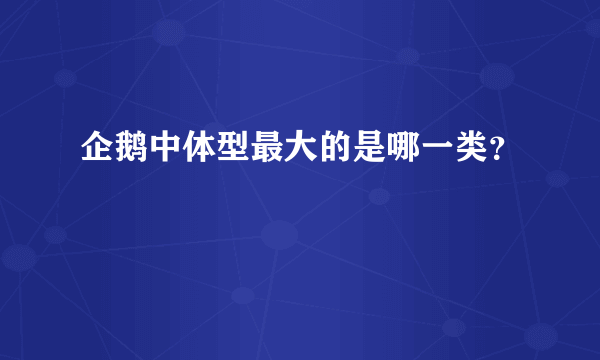 企鹅中体型最大的是哪一类？