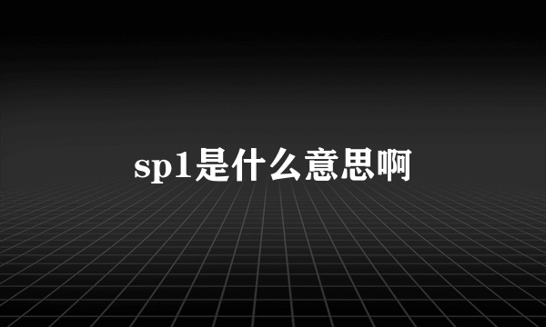 sp1是什么意思啊