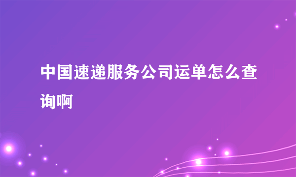 中国速递服务公司运单怎么查询啊