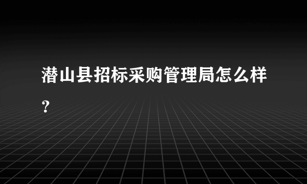 潜山县招标采购管理局怎么样？