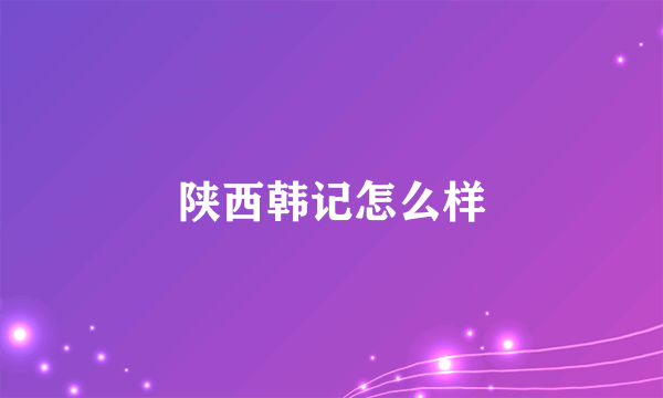 陕西韩记怎么样