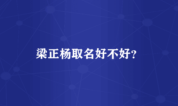 梁正杨取名好不好？