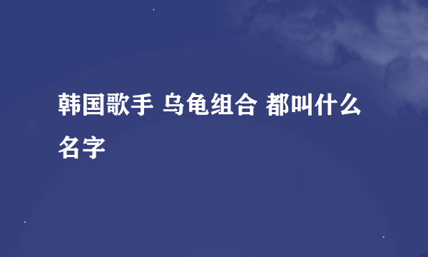 韩国歌手 乌龟组合 都叫什么名字