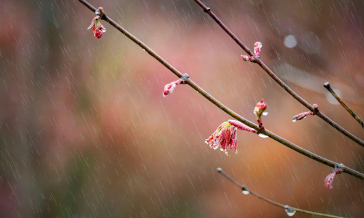 雨的诗句30首