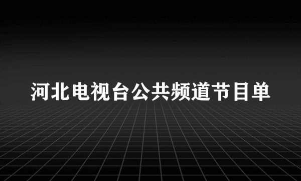 河北电视台公共频道节目单