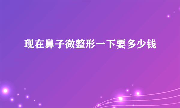 现在鼻子微整形一下要多少钱