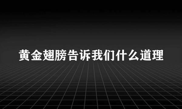 黄金翅膀告诉我们什么道理