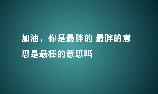 加油，你是最胖的 最胖的意思是最棒的意思吗