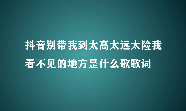 抖音别带我到太高太远太险我看不见的地方是什么歌歌词