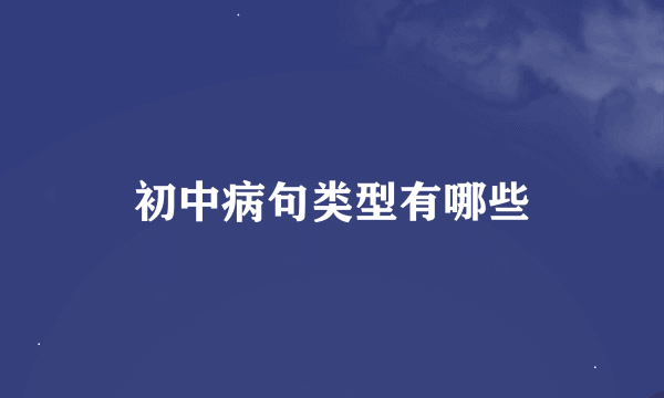 初中病句类型有哪些