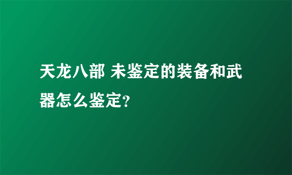 天龙八部 未鉴定的装备和武器怎么鉴定？