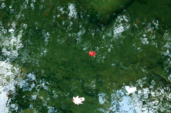 花自飘零水自流是什么意思？