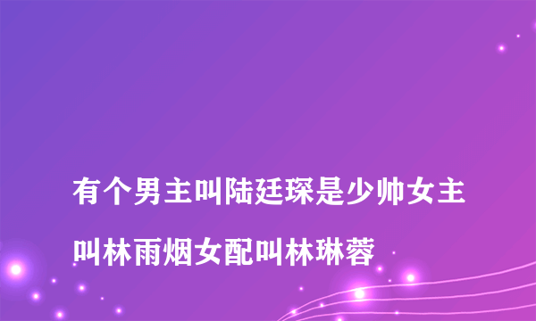 
有个男主叫陆廷琛是少帅女主叫林雨烟女配叫林琳蓉

