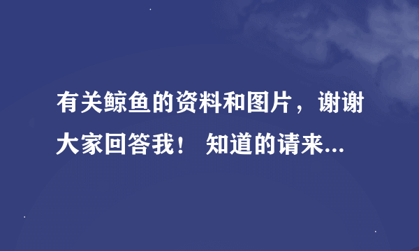 有关鲸鱼的资料和图片，谢谢大家回答我！ 知道的请来回答，3Q~！