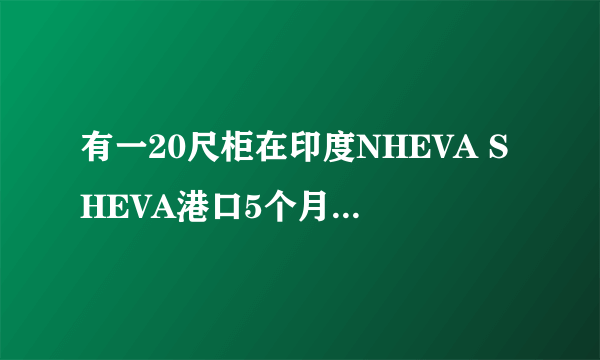 有一20尺柜在印度NHEVA SHEVA港口5个月，由于货被海关查了反倾销，客户没办法付余款提货，要求退运，求帮