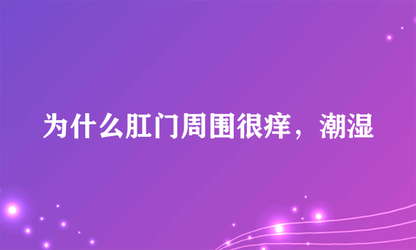 为什么肛门周围很痒，潮湿