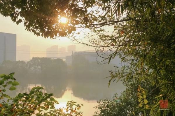 苏州大学文正学院好不好