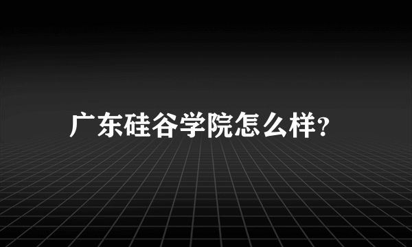 广东硅谷学院怎么样？