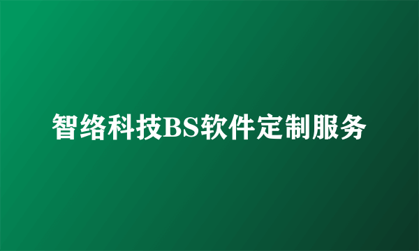 智络科技BS软件定制服务