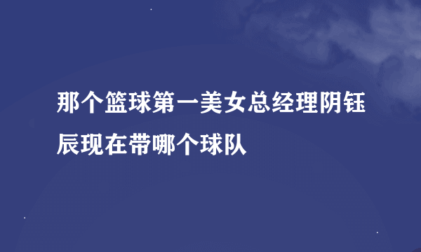 那个篮球第一美女总经理阴钰辰现在带哪个球队