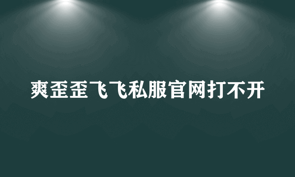 爽歪歪飞飞私服官网打不开