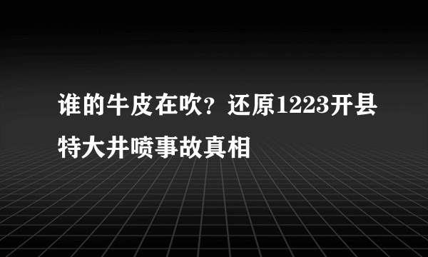 谁的牛皮在吹？还原1223开县特大井喷事故真相