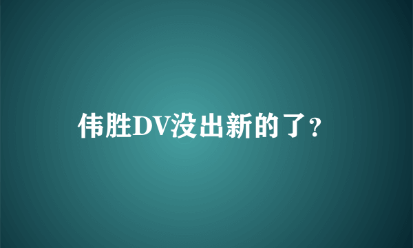 伟胜DV没出新的了？