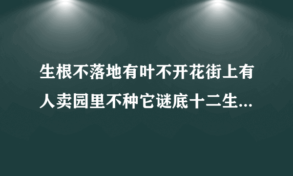 生根不落地有叶不开花街上有人卖园里不种它谜底十二生肖是什么