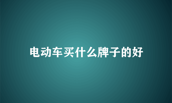 电动车买什么牌子的好