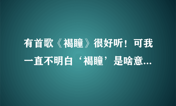 有首歌《褐瞳》很好听！可我一直不明白‘褐瞳’是啥意思！有知道的指点下呗!令，找此歌词！