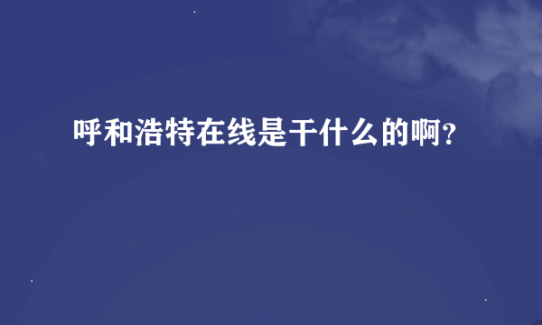 呼和浩特在线是干什么的啊？