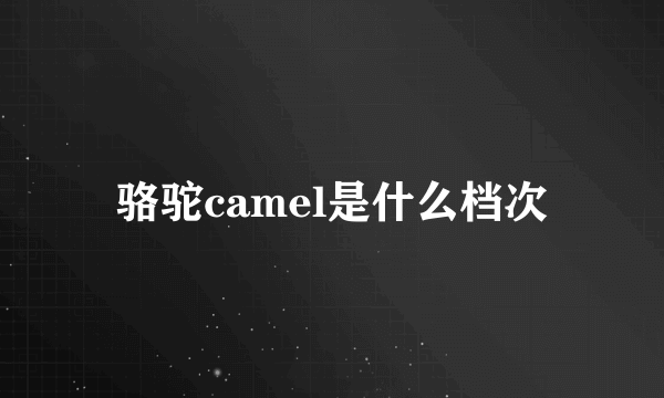 骆驼camel是什么档次