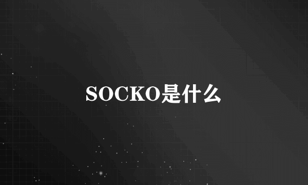 SOCKO是什么