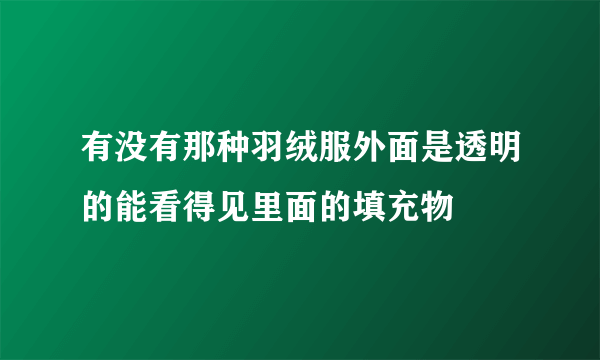 有没有那种羽绒服外面是透明的能看得见里面的填充物