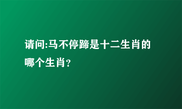 请问:马不停蹄是十二生肖的哪个生肖？