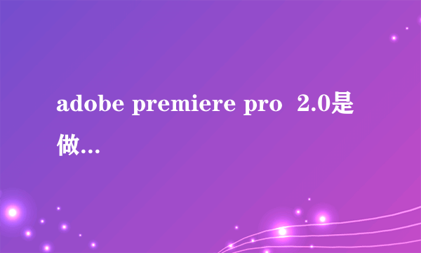 adobe premiere pro  2.0是做什么用的