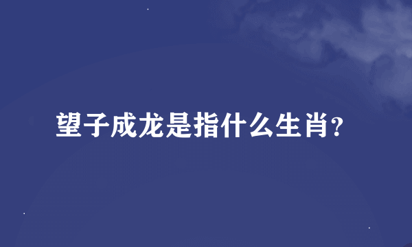 望子成龙是指什么生肖？