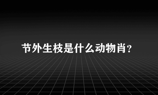 节外生枝是什么动物肖？