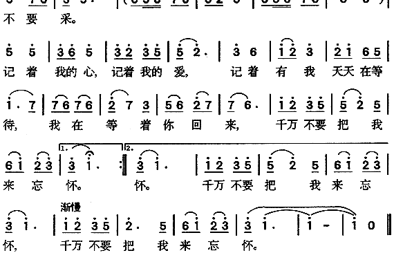 东北二人转《路边的野花不要采》的全部歌词。