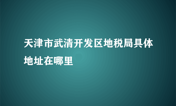 天津市武清开发区地税局具体地址在哪里