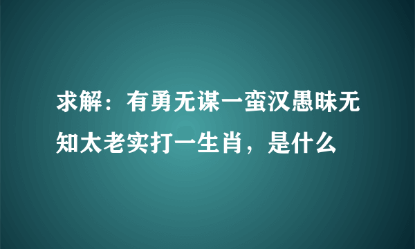 求解：有勇无谋一蛮汉愚昧无知太老实打一生肖，是什么