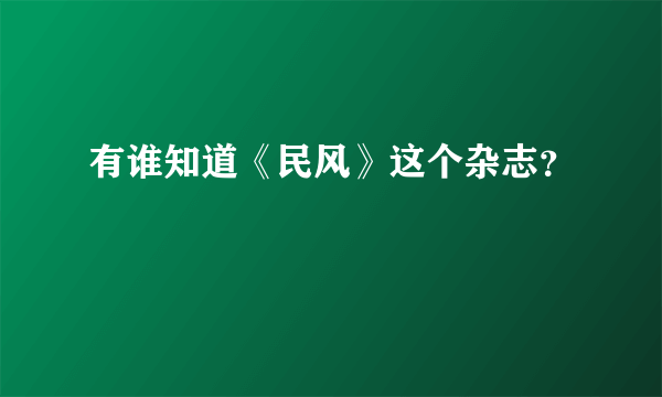 有谁知道《民风》这个杂志？