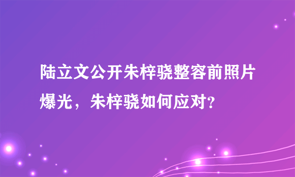 陆立文公开朱梓骁整容前照片爆光，朱梓骁如何应对？