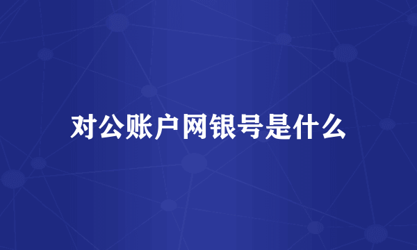 对公账户网银号是什么