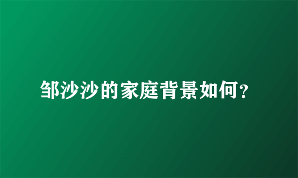 邹沙沙的家庭背景如何？