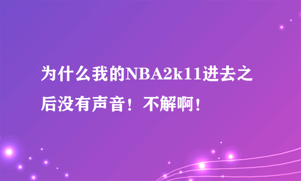 为什么我的NBA2k11进去之后没有声音！不解啊！