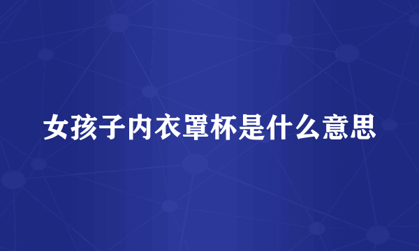 女孩子内衣罩杯是什么意思