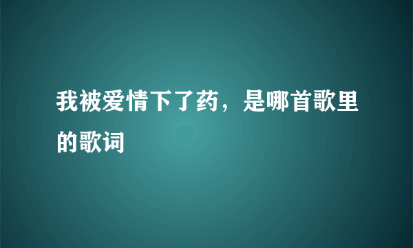 我被爱情下了药，是哪首歌里的歌词