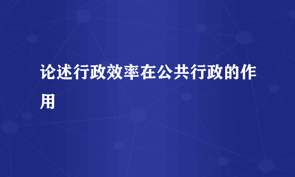 论述行政效率在公共行政的作用