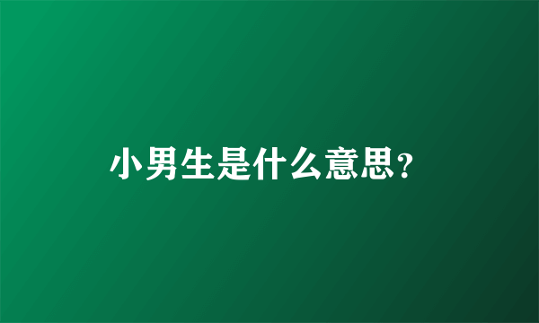 小男生是什么意思？